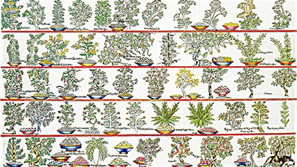 藏藥材資源分布、發(fā)展史